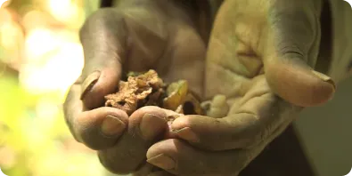 Smallholders in Kenya